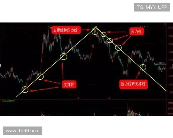 广州街舞队反击战术解析与实战技巧全面剖析