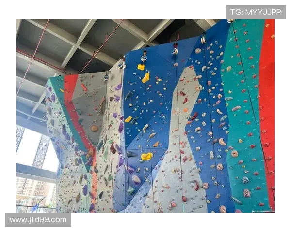 南京攀岩队的节奏与技巧探讨：攀岩运动的魅力与挑战