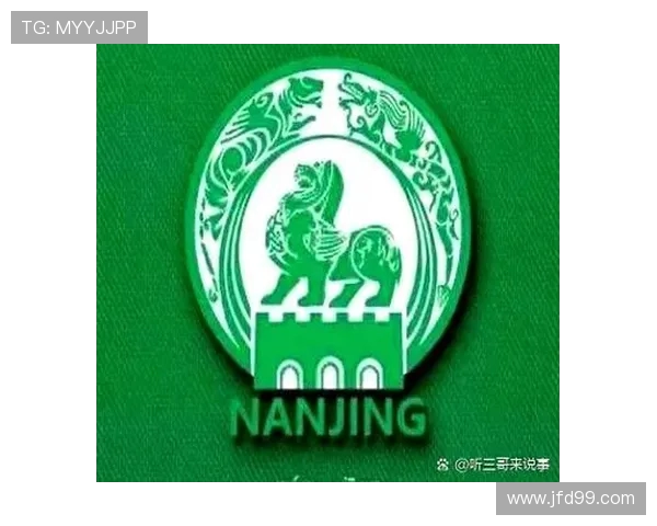 南京足球队的转型之路：从传统到现代的全面革新探讨